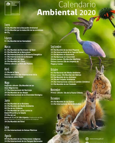 Calendário Sustentável