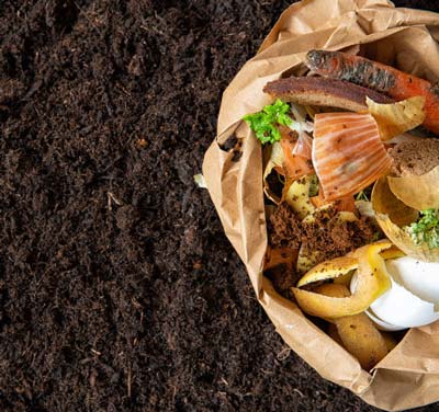 Como ter uma composteira em casa? 