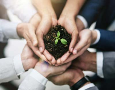 A revolução do ESG em 2022? 